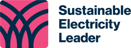 Sustainable Electricity Leader logo
