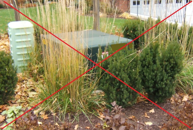 Pad-Mounted Transformer blocked by grass
