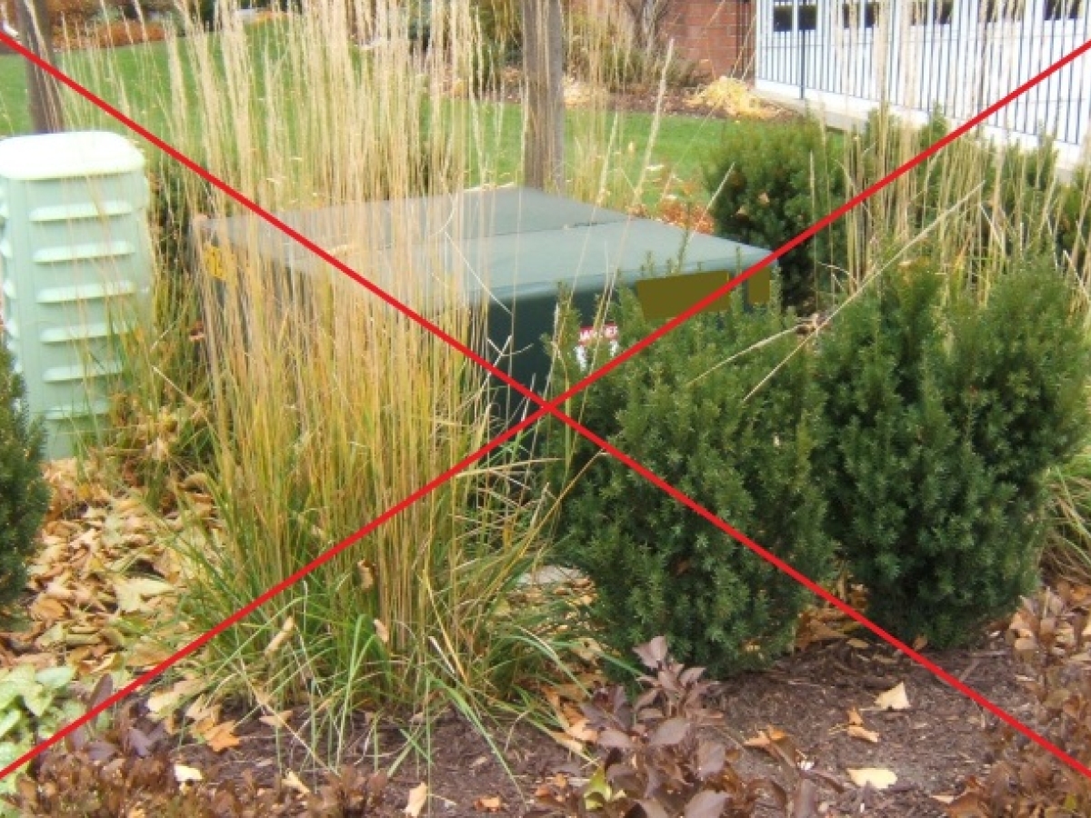 Pad-Mounted Transformer Blocked Pad-Mounted Transformer blocked by grass