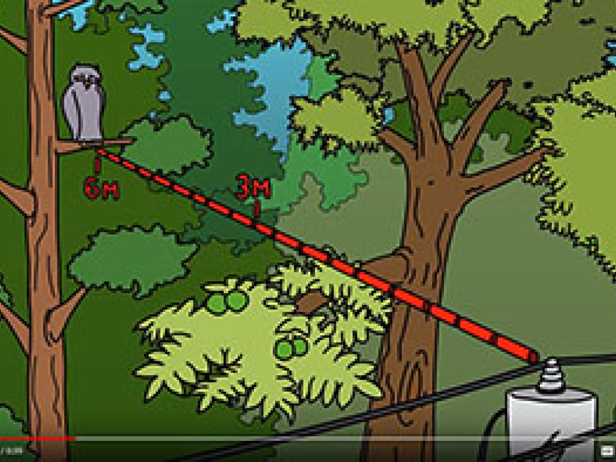 YouTube YouTube video screenshot